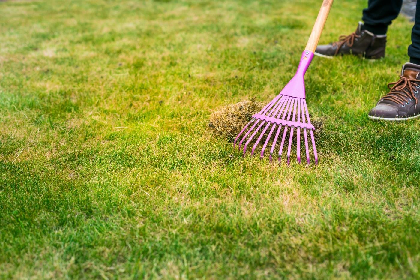 Kosztuje grosze, a działa jak magia: tak pozbywam się mchu z trawnika